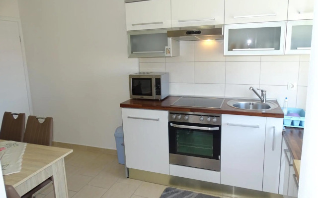 Apartmani David