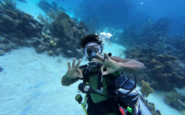 Hotel and Dive Center Roatan Yacht Club