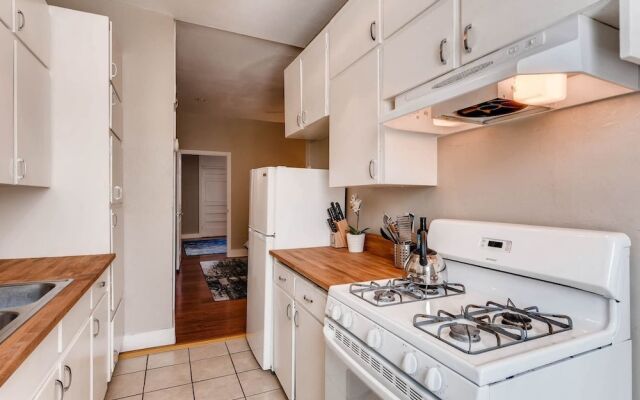 The Blue Rino - A Modern Experience