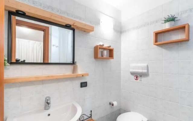 Albatros A5 lake view