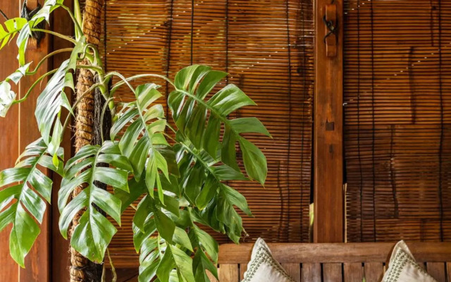 Rimba Villas Gili Air