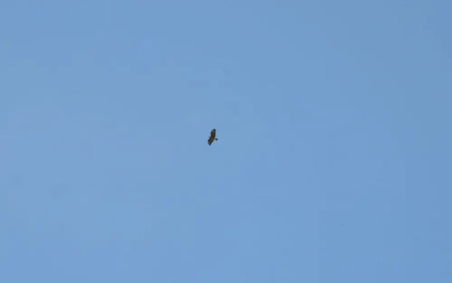 Apartment in Feldberger Seenlandschaft