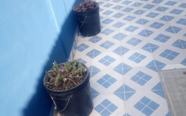 Inviting 1-bed Studio Iwith Breakfast Nairobi