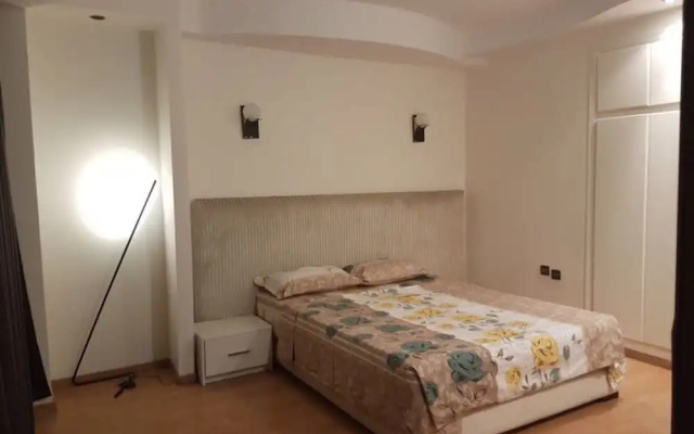 Spacious Apartment Downtown