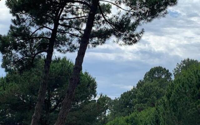 Arcachon Pereire Appartement idéalement situé