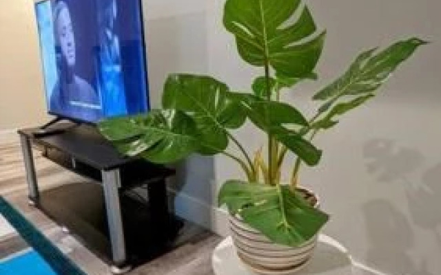 Air & Road Travelers' Perfect Spot! + Full Kitchen