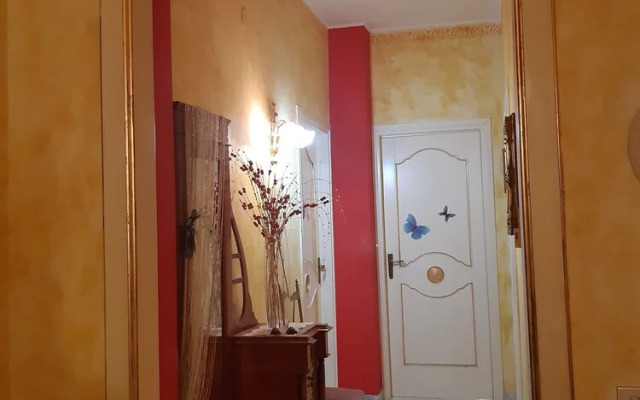 B&B Moonaurora