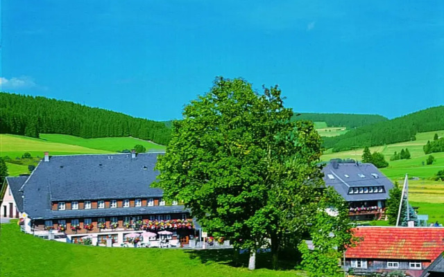 Schwarzwaldgasthof Hotel Zum Löwen-Unteres Wirtshaus