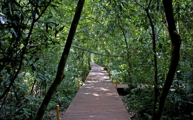 Tierra Guarani Lodge
