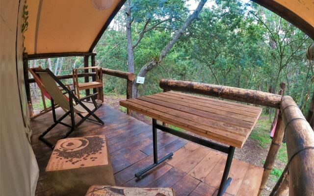 Glamping tipo safari