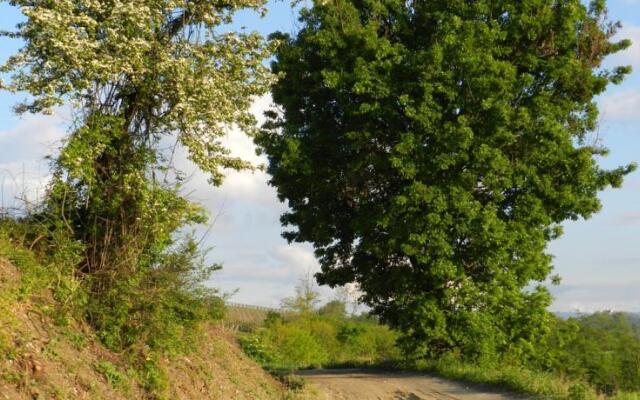 Casa del Bosco in Collina
