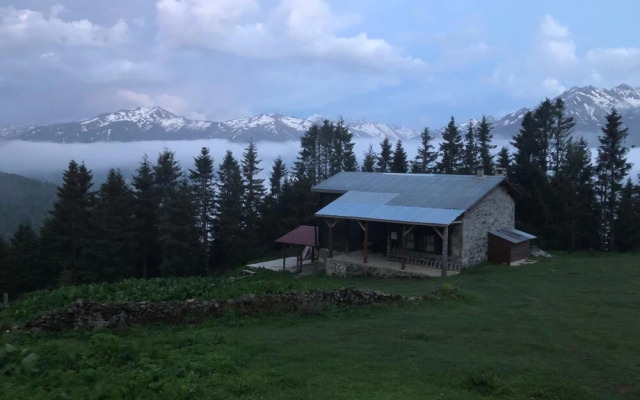 Tanevit Dag Evi
