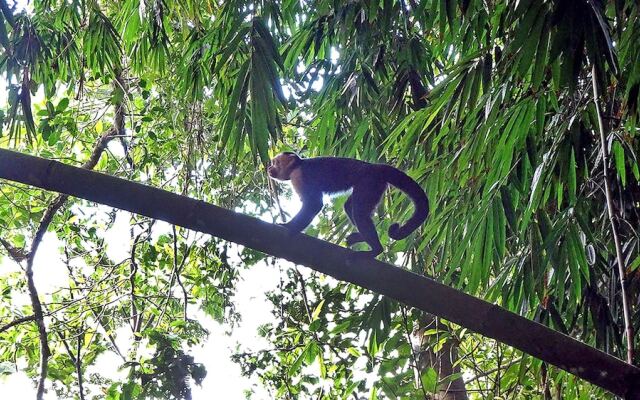 Hostel Cascada Verde
