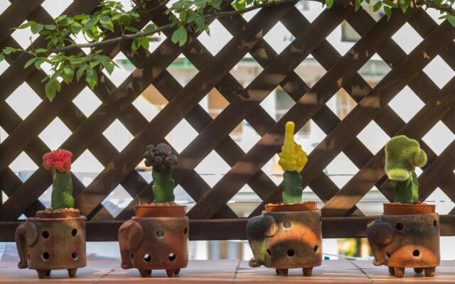 Cerasiello Apartment