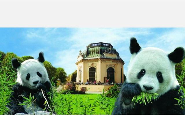 Studio-Apartment between Schoenbrunn & the City Center (18)