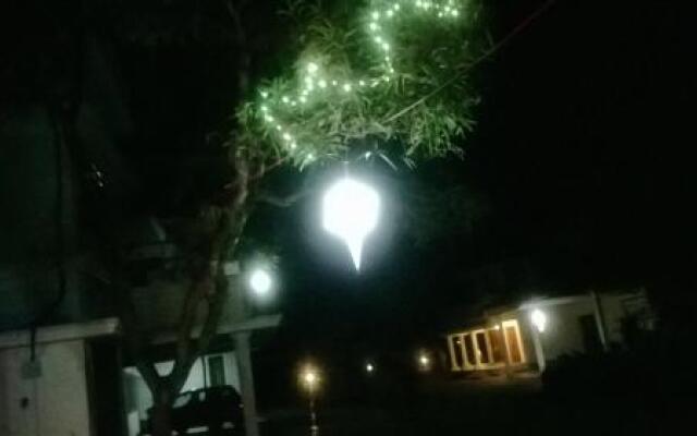 The Health Village