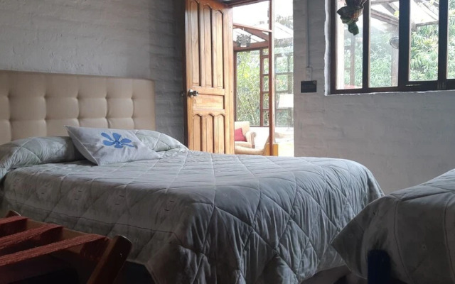 Yellow guest house