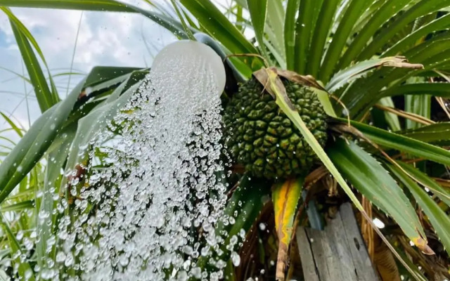 Phan Thiet BeachHouse