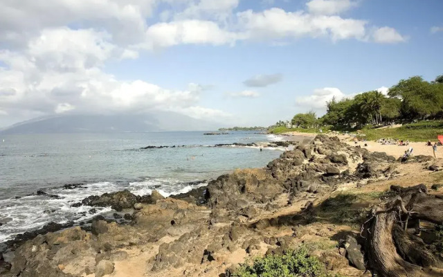 Hale Kamaole #336 - 2 Br Condo