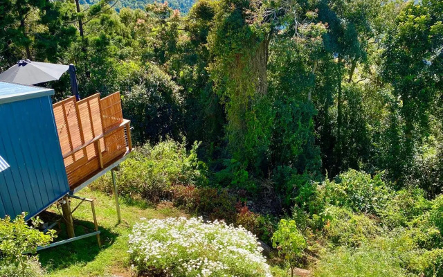 Willow Cabin