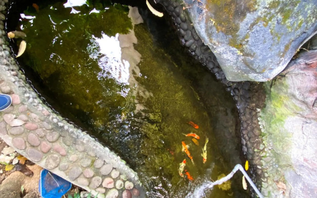 Surabaya Homey near RKZ (Syariah)