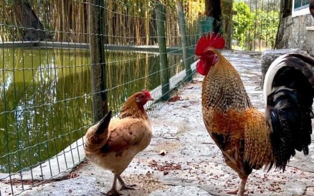 Private Douro- Quinta das Susandas