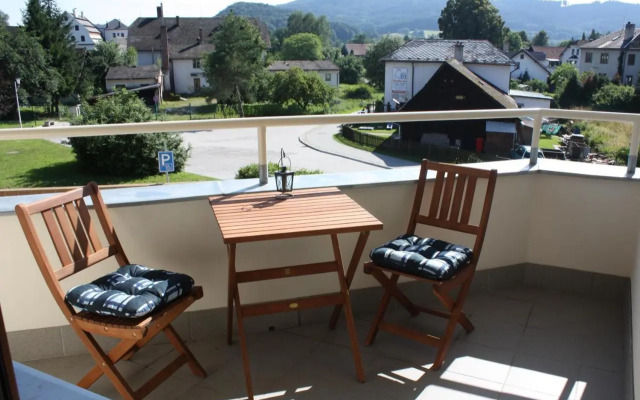 Apartmán Velké Losiny