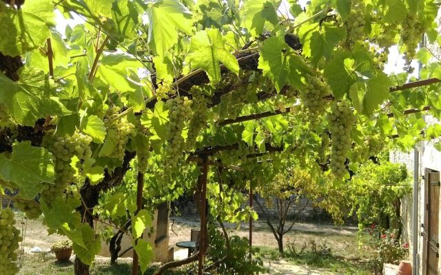 Bed & Dinner Chez Lavergne Table D'Hôtes