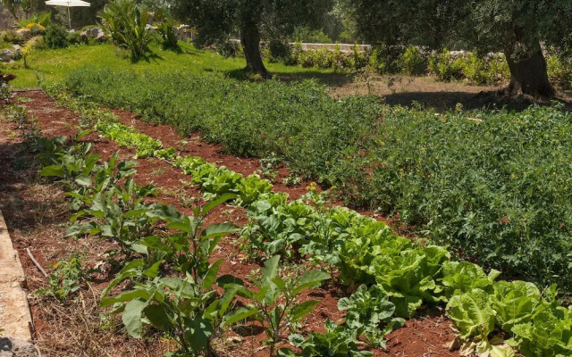Tenuta Gianfredi by BarbarHouse