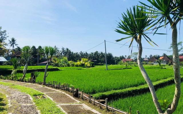 Villa JJ and Spa Ubud