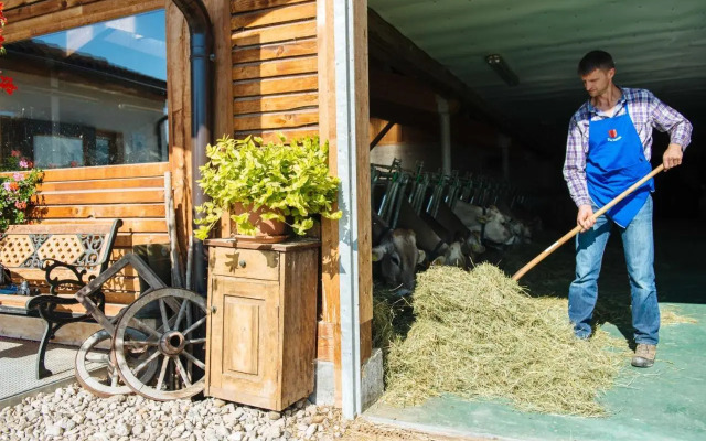 Mair am Graben Farm * Chalets