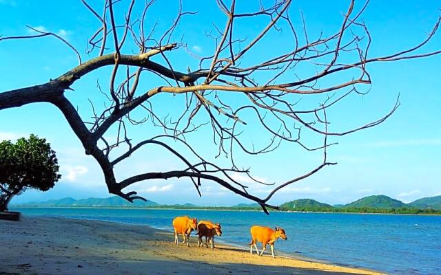 Catappa Village Lombok