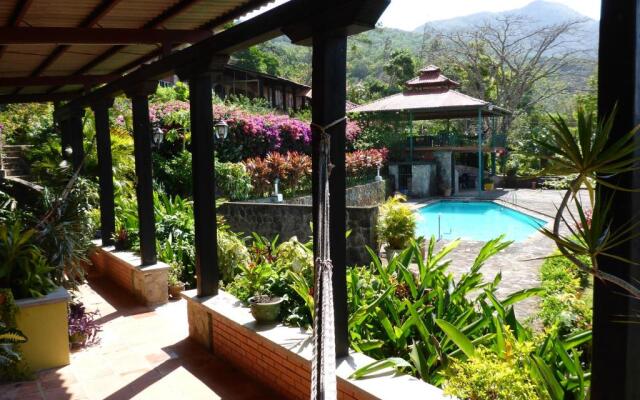 The Golden Frog Inn
