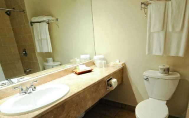 Adam's Airport Inn