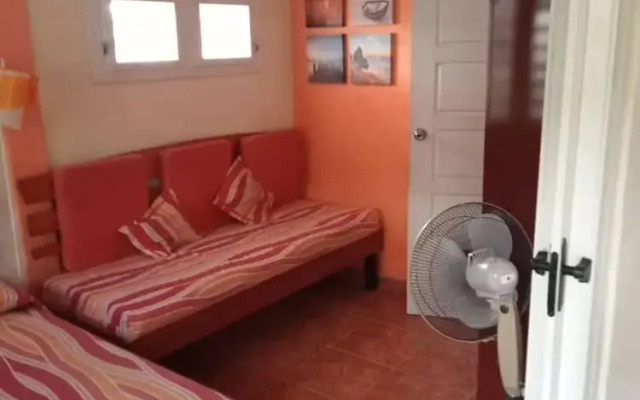 The Brother's House