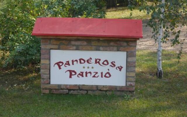 Hotel Panderosa Panzio