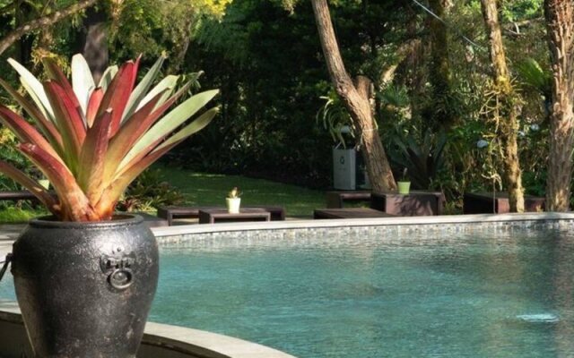 Amaryllis Boutique Resort