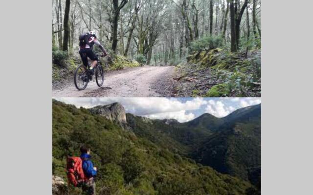 Villa "Il giardino di Diana" cod IUN Q4580