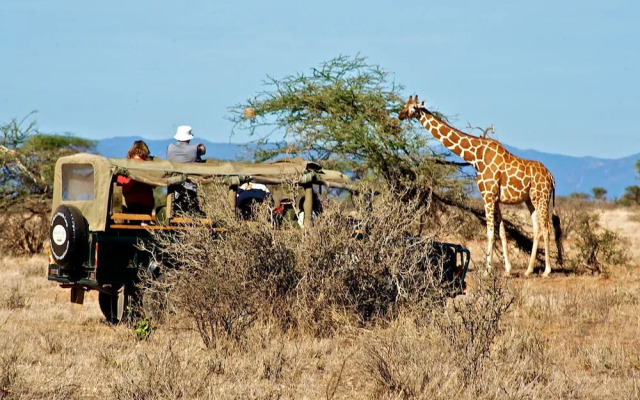 Samburu Intrepids Tented Camp