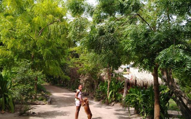 Eco Hotel Las Palmeras