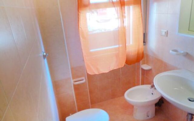 Green Marine. Palme. Ismare 17725