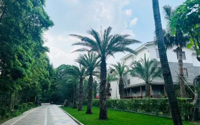 Riverside Sacred Tree Park