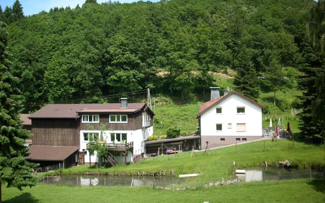 Apartment in Bruchhausen With Terrace