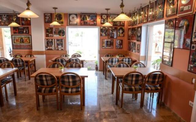 Casa Leului