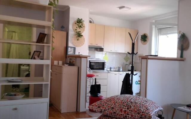 Apartment Zira1
