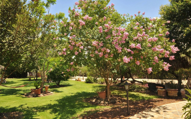 Kidmat Hagalil