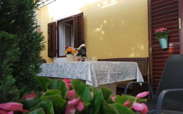 T&D Apartmani