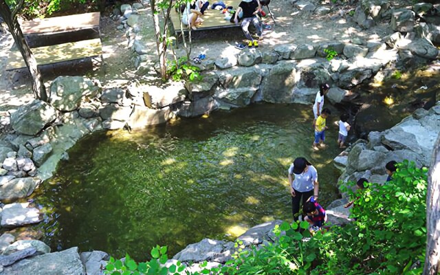 Cheongdo 1night 2days Pension