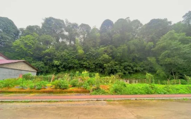 Jinggangshan Ciping Jinhonghua Homestay