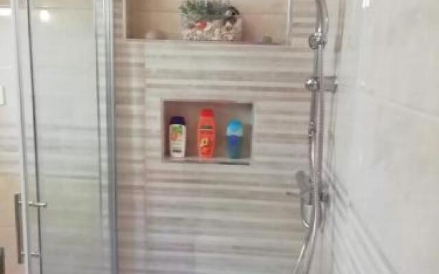 Apartment Branko